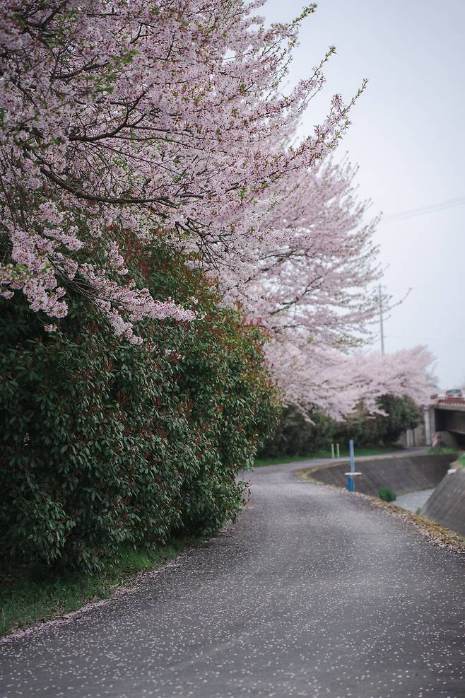 나가노_11.jpg 일본유학생 드림카 렌트 해서 2박3일 지방 소도시 나가노 여행기