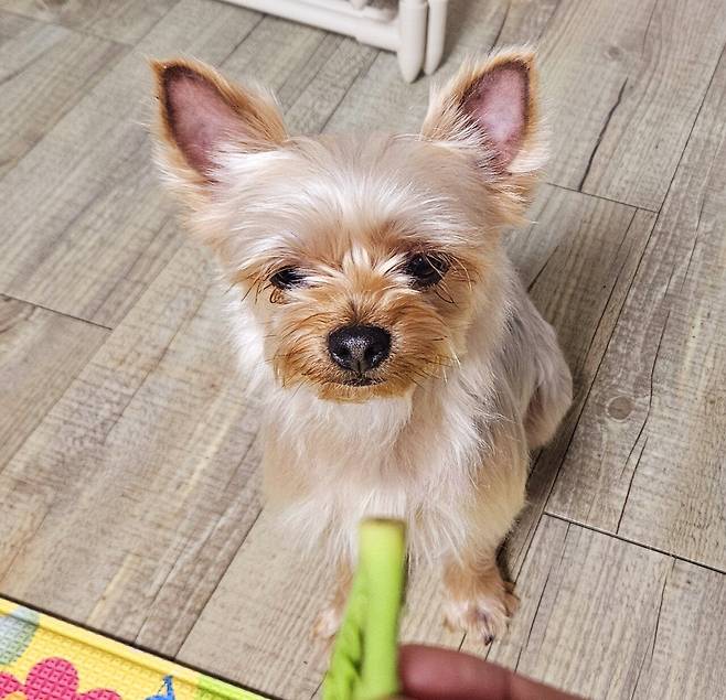 20250420_204518.jpg 집에서 돼지갈비집 느낌을 내고 싶을땐?