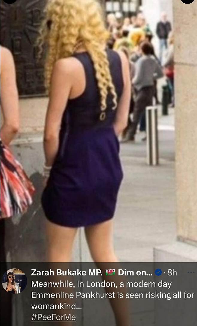 1000044846.jpg 싱글벙글 트랜스젠더 시위