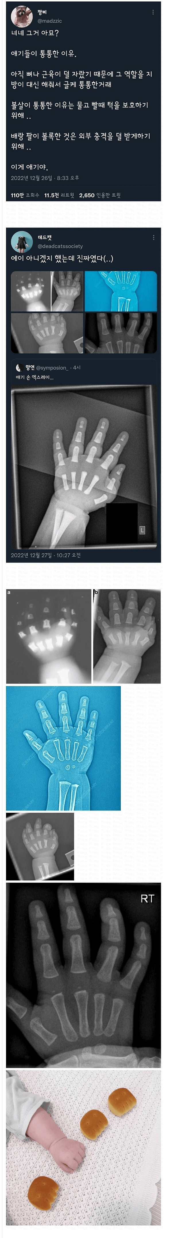 image.png 아기가 통통한 이유 .jpg