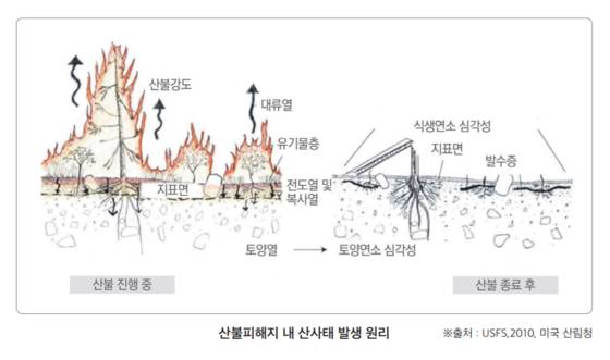 산불 피해 지역에서 산사태가 쉽게 일어나는 원리. 사진 산림청 '2025년 산불 제대로 알기'