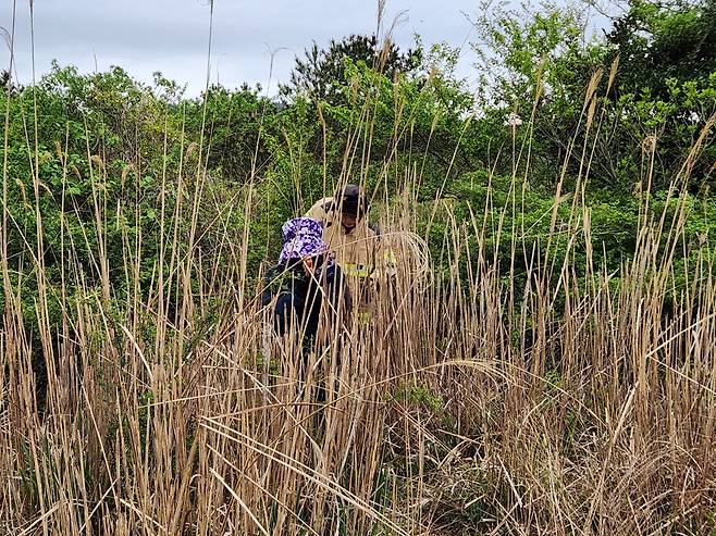 고사리를 따다 길을 잃은 한 채취객이 소방당국의 도움을 받아 밖으로 이동하고 있다. 제주소방안전본부 제공