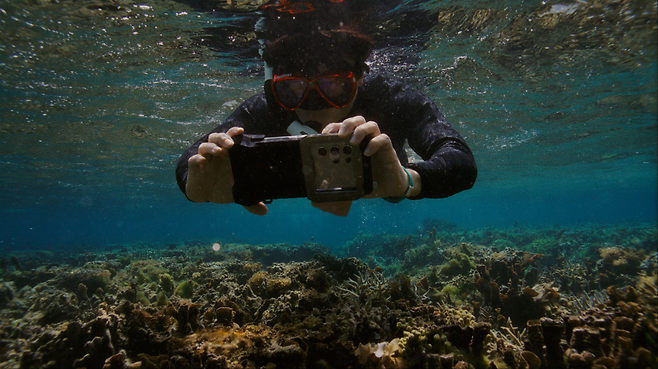 삼성전자 해양 생태계 복원 프로젝트 ‘코랄 인 포커스(Coral in Focus)’의 일환으로 갤럭시 ‘오션모드’를 활용해 산호초를 찍고 있는 모습. [삼성전자 제공]