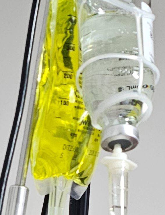 이경실 소셜미디어