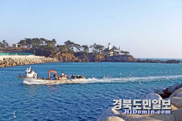 감포항 전경.