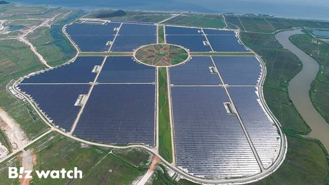 솔라시도 태양광발전소/사진=BS한양