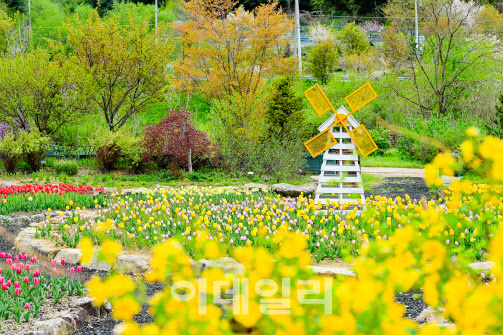 국립백두대간수목원 정원 전경. (사진=한국수목원정원관리원 제공)