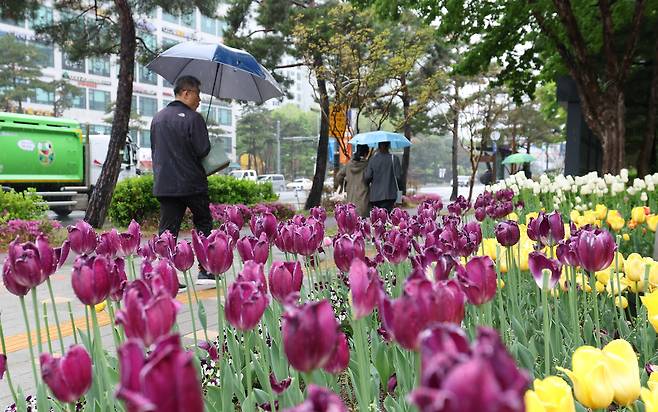 봄비가 내린 22일 오후 경기 수원시 한 거리에서 시민들이 우산을 쓰고 지나가고 있다. /뉴스1