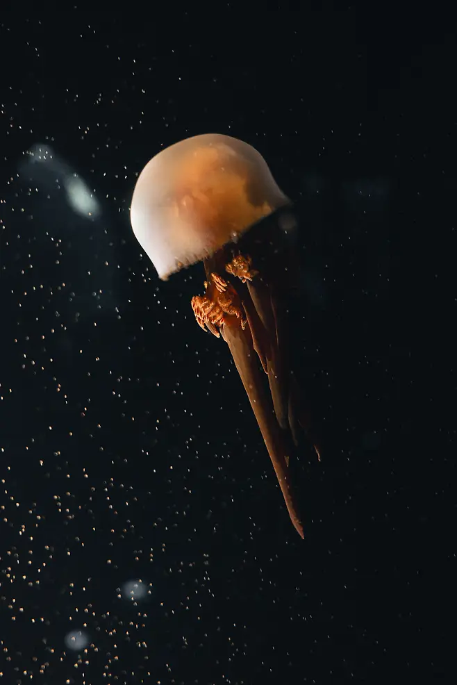 7cf3c723e7c218986abce89545897c6d0e02e7