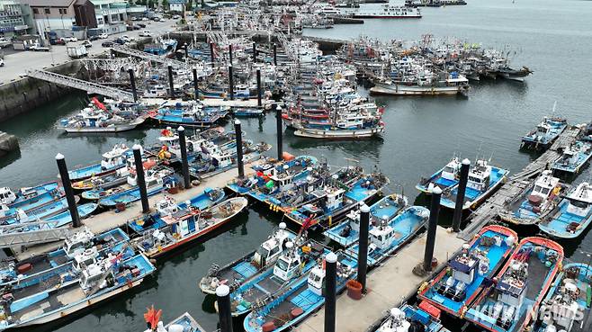 충남도는 해양오염 사고 예방을 위해 7월 4일까지 지방자치단체가 관리하는 연안 해양시설 54곳에 대한 안전점검을 실시한다. 사진은 대천항 모습.