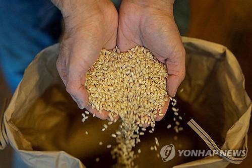 [사진 = 연합뉴스]