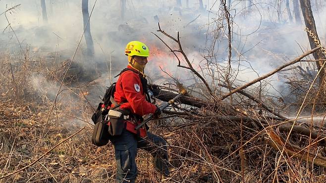 공중진화대원 최재한 팀장이 지난달 경북 지역에서 갈퀴를 이용해 산불 진화작업을 벌이고 있다./사진제공=산림청 산림항공본부.