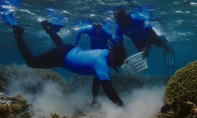갤럭시 스마트폰 카메라 기술을 활용한 삼성전자의 해양 생태계 복원 프로젝트 ‘코랄 인 포커스’가 1주년을 맞았다. 삼성은 이 프로젝트를 통해 1만1046개의 산호를 새로 심어 농구장 25배에 해당하는 1만705㎡의 산호초를 복원했다. 삼성전자 제공