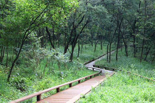 / 한국수목원정원관리원