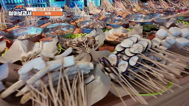 사진 제공=MBN, MBC드라마넷 '살아보고서'