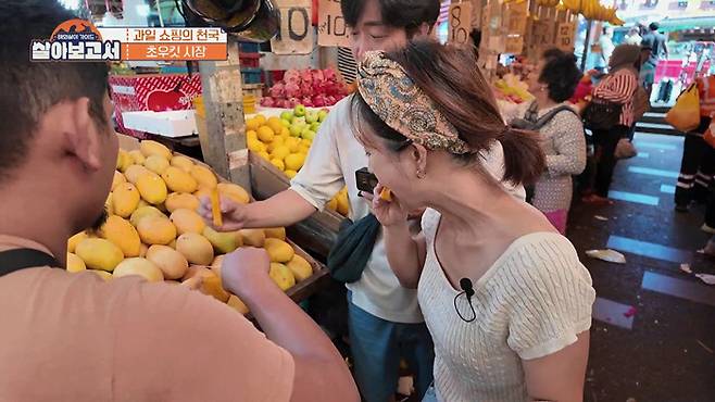 사진 제공=MBN, MBC드라마넷 '살아보고서'