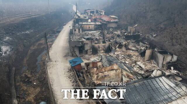 산불로 초토화된 영덕읍 석리. / 영덕군