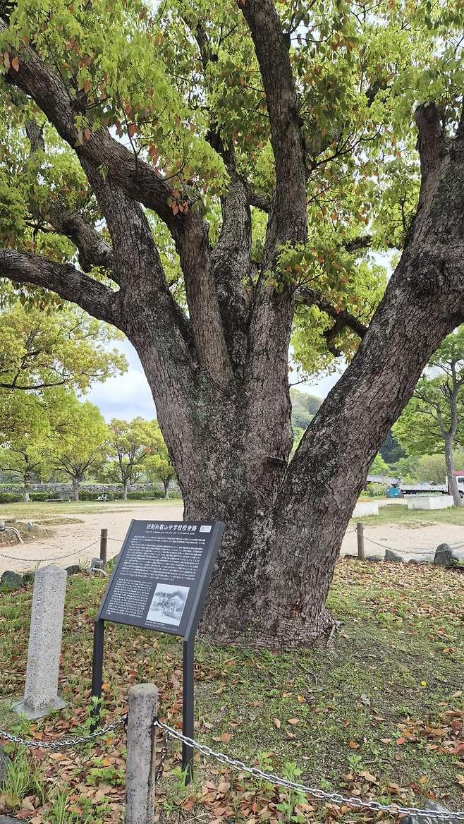 7fed8273b58669fe51ee85e0458270734d6a65e62929fbf79692c991012fb140