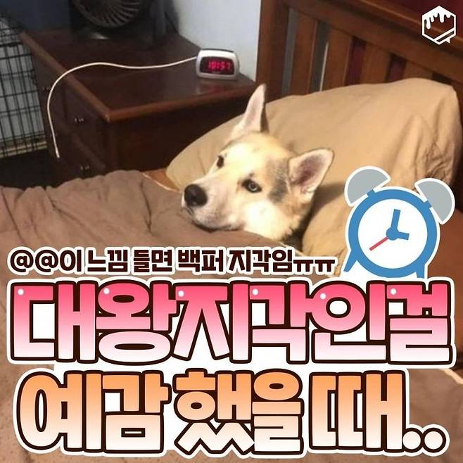 03584576320230429a3d0aac9-e71e-49a0-acb4-3f0b32f7bb3b.jpeg.jpg 대왕지각인 걸 예감했을 때.jpg 대왕지각인 걸 예감했을 때.jpg