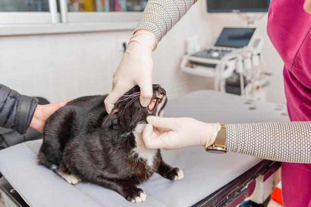 게티이미지뱅크