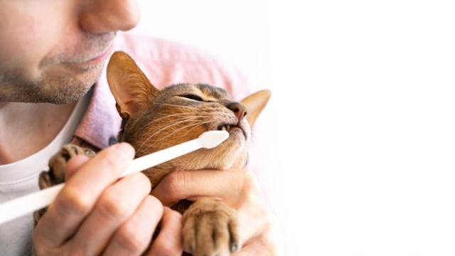 게티이미지뱅크