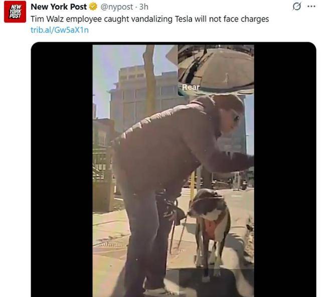 테슬라 차량 6대를 훼손한 남성이 기소를 면해 논란이다. 뉴욕포스트 엑스 캡쳐