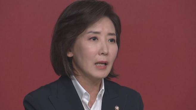 나경원 국민의힘 의원