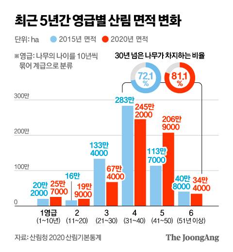 정근영 디자이너