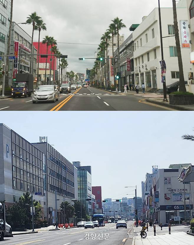 탑동로 일대 가로수로 식재됐던 워싱턴야자수가 뽑혀 사라졌다. 워싱턴야자수 제거 전 모습(제주도 제공)과 제거 이후인 4월17일 탑동로 모습(박미라 기자).