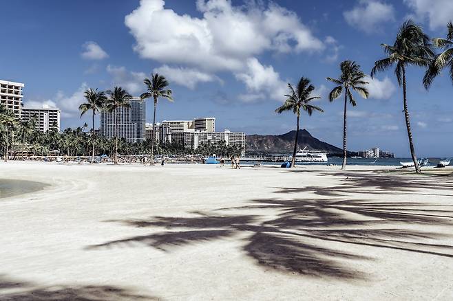 하와이 해변 참고 이미지/사진=게티이미지뱅크