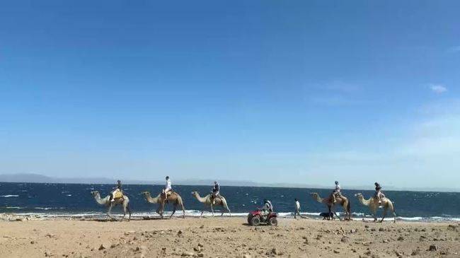 채널A ‘선 넘은 패밀리’ 제공