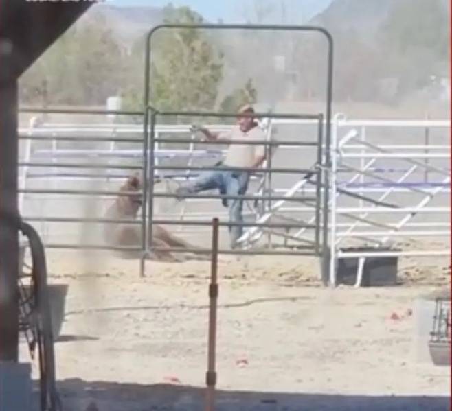 [서울=뉴시스] 21일 동물 학대 혐의를 받는 수의사 남성이 실종된 지 약 2주 만에 시신으로 발견됐다. 말을 학대하는 정황이 담긴 영상의 캡처 본. (사진=뉴욕포스트) 2025.04.22. *재판매 및 DB 금지