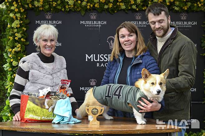 [스코틀랜드=AP/뉴시스] 19일(현지 시간) 스코틀랜드 머슬버러의 머슬버러 경마장에서 열린 연례 웰시코기 경주 대회에서 우승을 차지한 주노와 주인들이 기념촬영 하고 있다. 2025.04.22.<font style="vertical-align: inherit;"><font style="vertical-align: inherit;"></font></font>