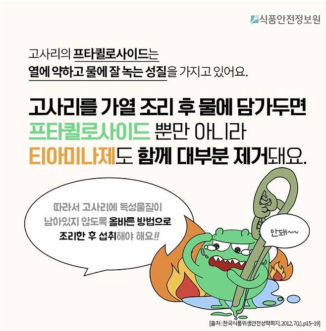 [서울=뉴시스] 23일 식품안전정보원은 봄철을 맞이해 대표적인 봄나물인 고사리를 안전하게 섭취하는 방법에 대한 정보를 소개했다. (사진=식품안전정보원 제공) 2025.04.23. photo@newsis.com  *재판매 및 DB 금지