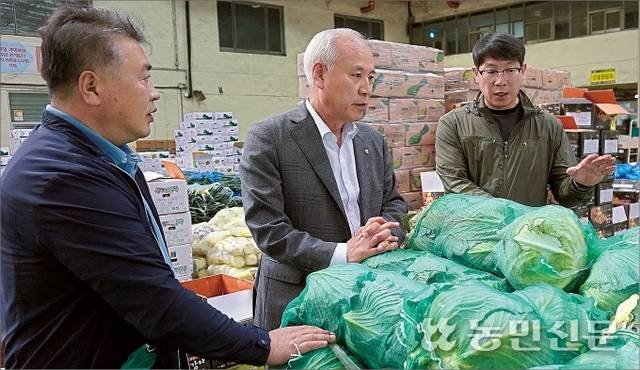 제주 제주시농협 고봉주 조합장(가운데)과 김명관 농산물공판장장(왼쪽) 등이 농산물공판장에서 경매를 앞둔 양배추를 살피며 최근 거래 동향을 공유하고 있다.