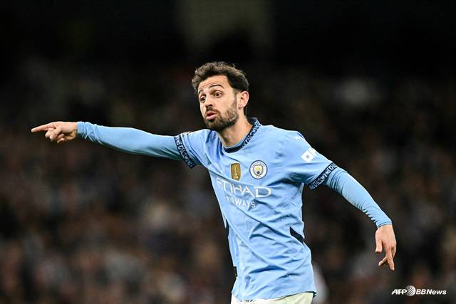 베르나르두 실바. /AFPBBNews=뉴스1