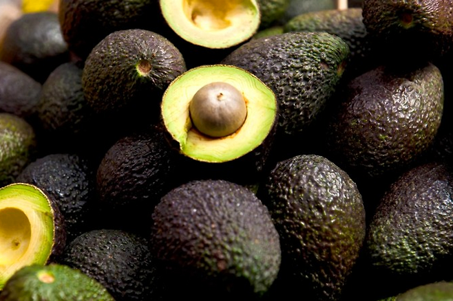아보카도
