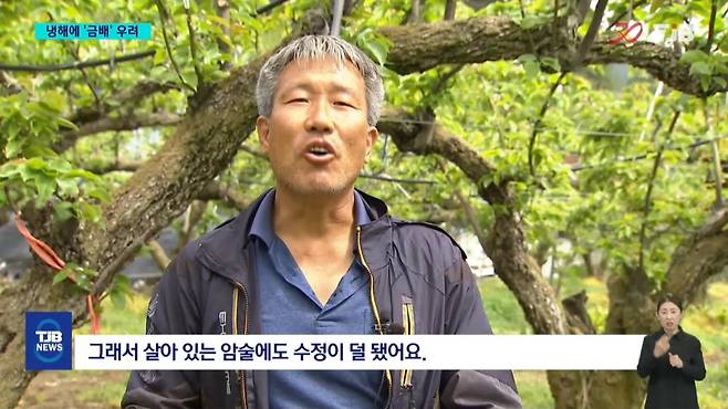 관련 이미지 1