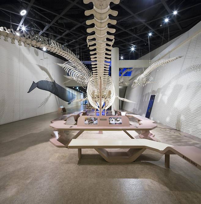 대형 고래의 뼈가 전시된 씨큐리움.