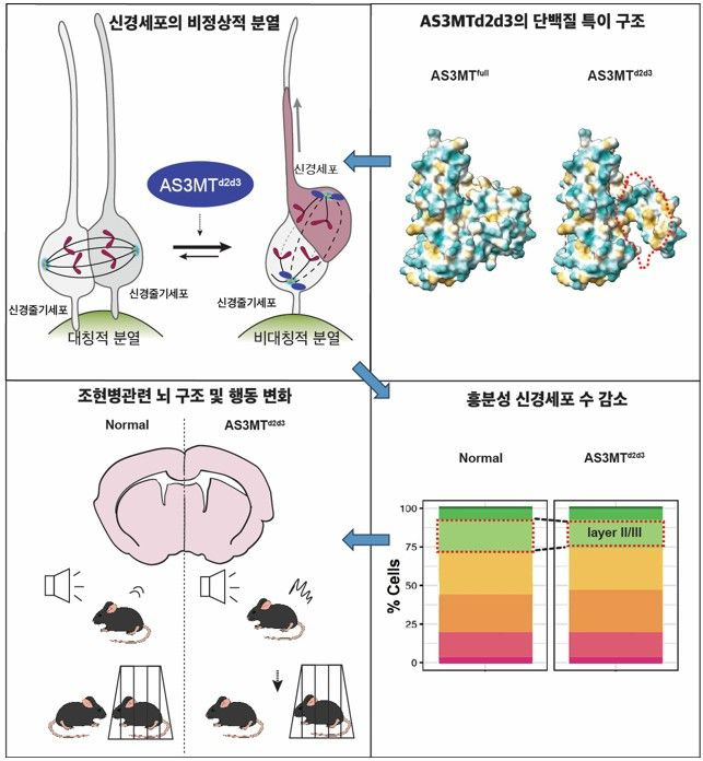 POSTECH 제공