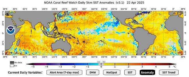 미국 해양대기청의 산호 경보 프로그램. 누리집 갈무리