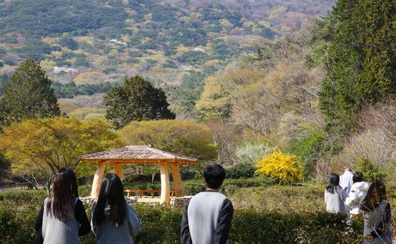 대흥사는 두륜산 아랫자락의 산사다. 스님과 함께 산책하는 시간, 마침 신록 드리운 두륜산이 펼쳐졌다.