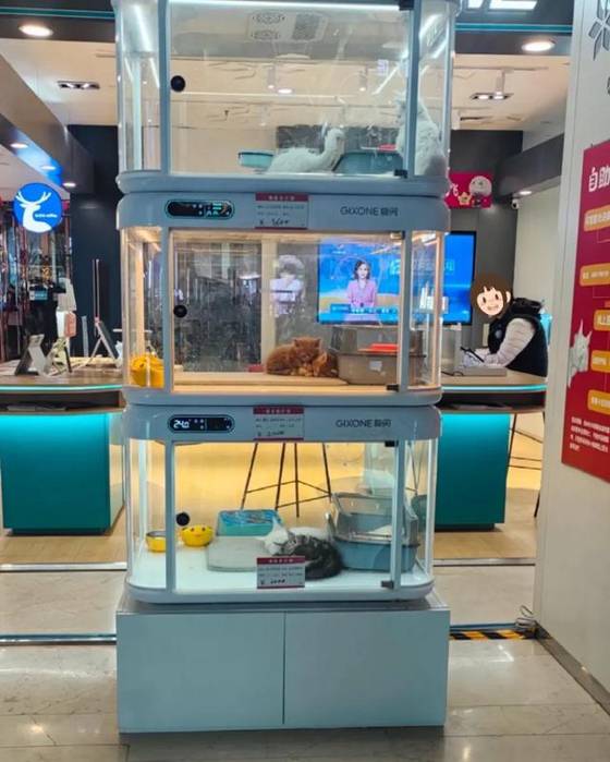중국 산둥성의 한 쇼핑몰에 설치된 반려동물 자판기. 사진 바이두 캡처