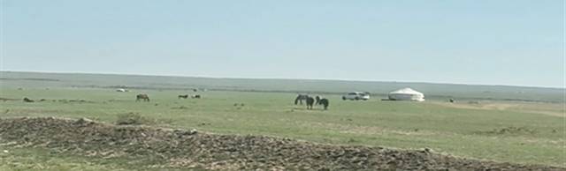 몽골고원 유목민 주거지 게르 천막. 작가 제공