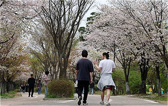 사월에 반소매를 입는다. 이 역시 얼마나 낯설고 두려운 장면인가. 지구가 울부짖고 있다. 365일을 매일 생각하여 바꿀 방법을 고민해도 모자라다고. 사색할 시간을 확보해야 한다고./사진=뉴스1