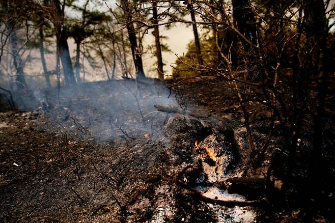 미국 뉴저지주에서 발생한 산불로 산림 수천 에이커가 타고 인근 주민 3000명 대피하는 소동이 발생했다. 사진은 지난 23일(현지시각) 미국 뉴저지주 오션 카운티 지역 포크드 강 근처에서 산불이 발생해 연기가 피어오르고 있는 모습. /사진=로이터