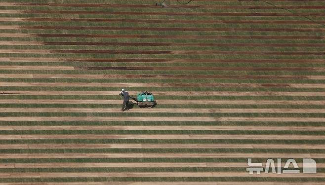 [서울=뉴시스] 김선웅 기자 = 24일 서울 중구 서울광장에서 잔디 식재 작업이 진행되고 있다. 2025.04.24. mangusta@newsis.com