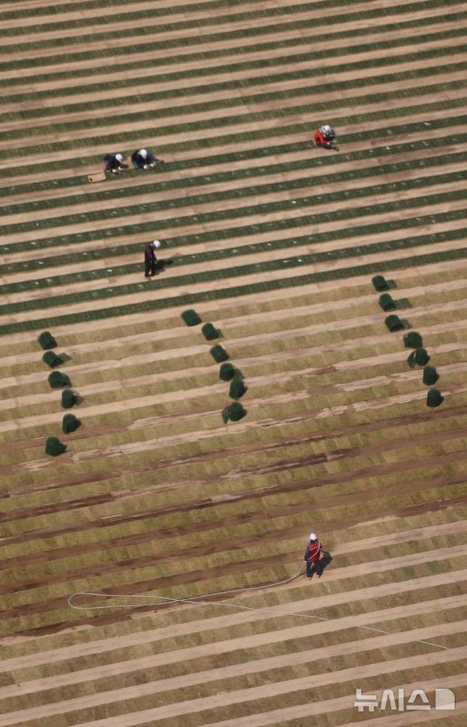 [서울=뉴시스] 김선웅 기자 = 24일 서울 중구 서울광장에서 잔디 식재 작업이 진행되고 있다. 2025.04.24. mangusta@newsis.com