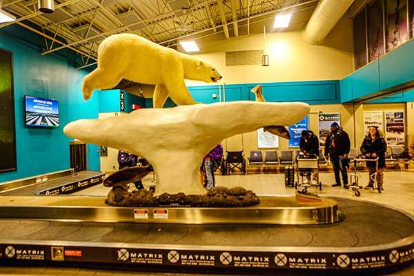 옐로나이프 공항의 북극곰 조형물.