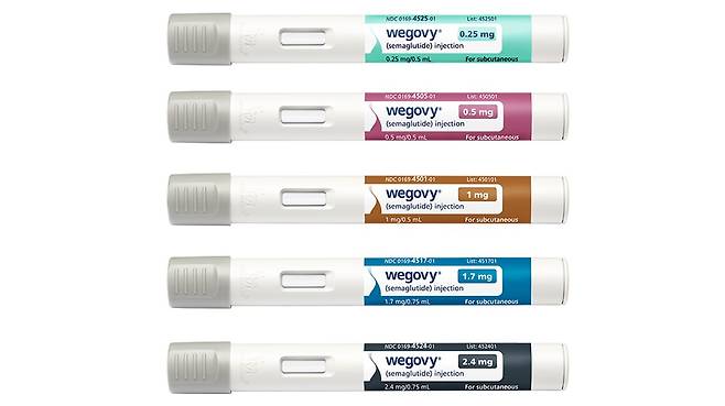 비만치료제 위고비. 노보노디스크 제공